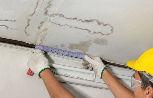 Reliable Mold Remediation contractor in Mexico, ME by Water Damage Irwin